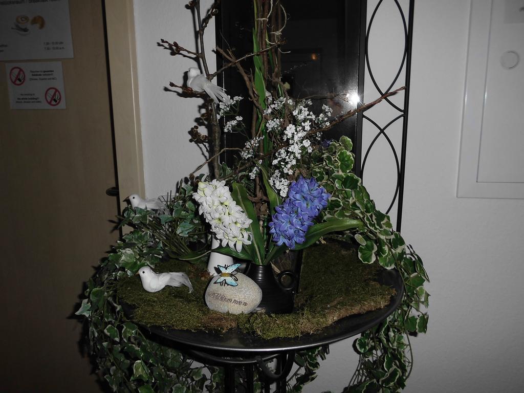 Apartment Kiesel